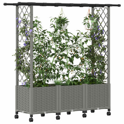 Verhoogd Bed met Trellis en Dak Lichtgrijs 162,5 x 40 x 142 cm