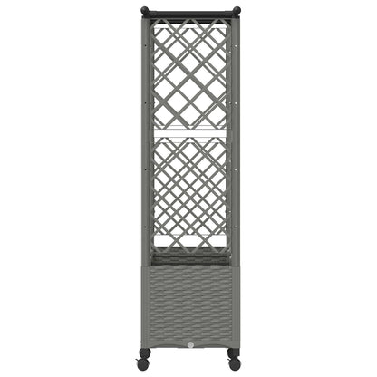 Verhoogd Bed met Trellis en Dak Lichtgrijs 162,5 x 40 x 142 cm