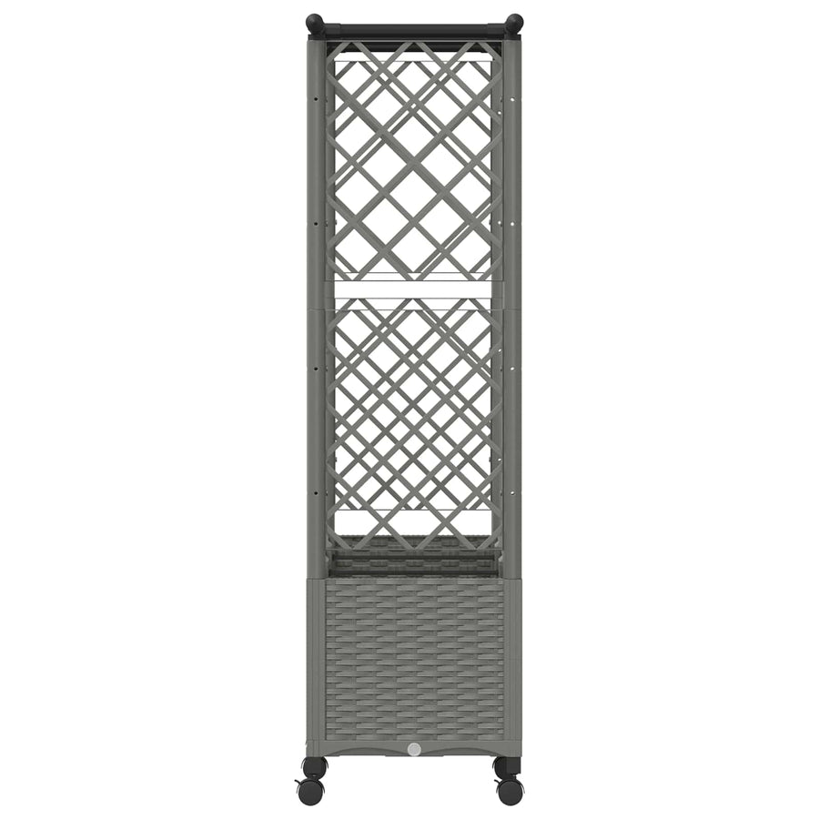 Verhoogd Bed met Trellis en Dak Lichtgrijs 162,5 x 40 x 142 cm
