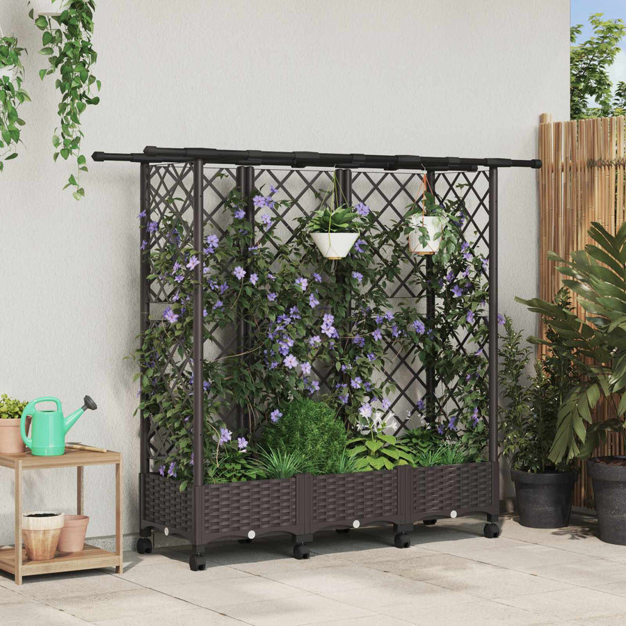 Verhoogd Bed met Trellis en Dak Bruin 164 x 40 x 127 cm PP
