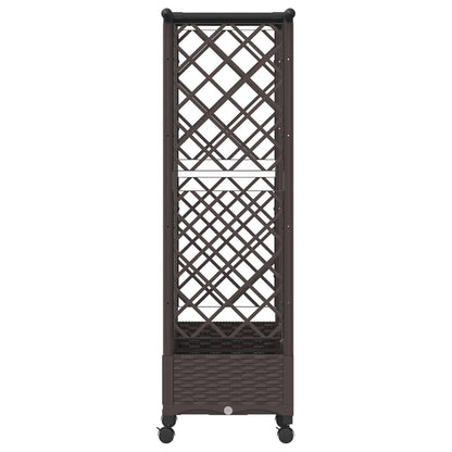 Verhoogd Bed met Trellis en Dak Bruin 164 x 40 x 127 cm PP