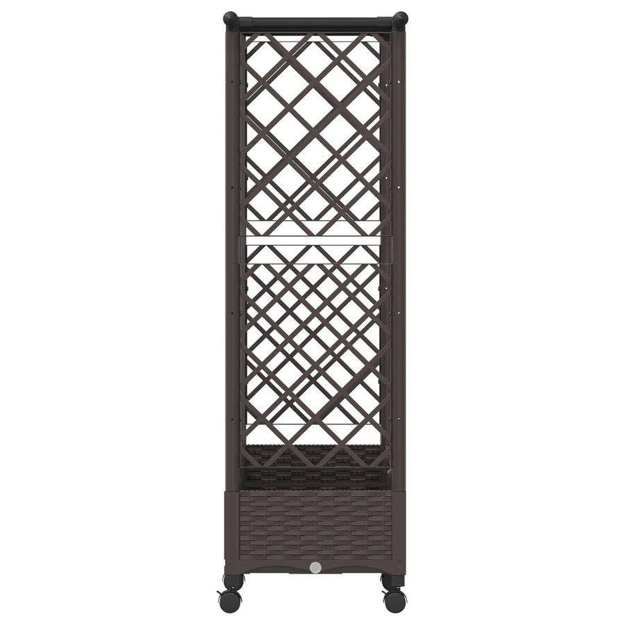 Verhoogd Bed met Trellis en Dak Bruin 164 x 40 x 127 cm PP