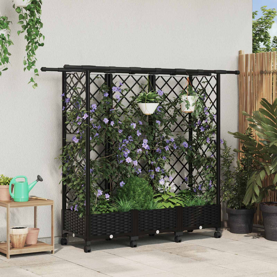 Verhoogd Bed met Trellis en Dak Zwart 164 x 40 x 127 cm PP