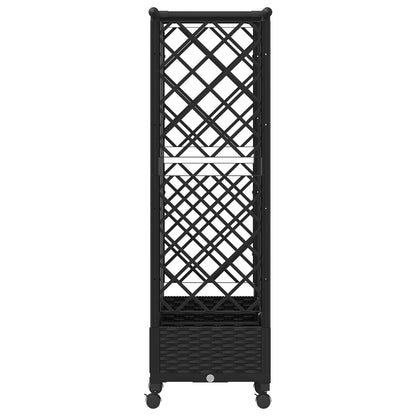 Verhoogd Bed met Trellis en Dak Zwart 164 x 40 x 127 cm PP