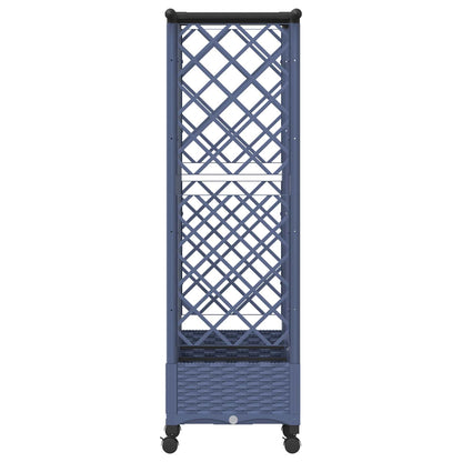 Verhoogd Bed met Trellis en Dak Grijs 164 x 40 x 127 cm PP