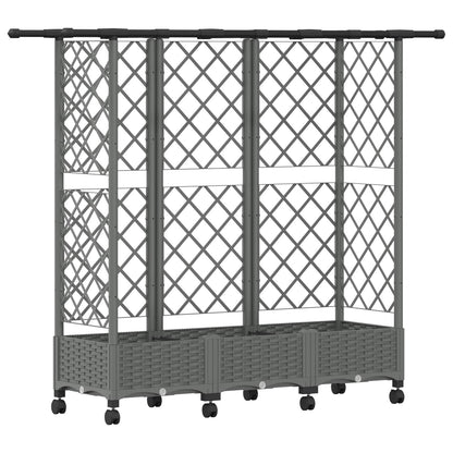 Verhoogd Bed met Trellis en Dak Lichtgrijs 164 x 40 x 127 cm PP