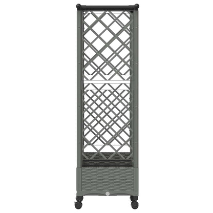 Verhoogd Bed met Trellis en Dak Lichtgrijs 164 x 40 x 127 cm PP