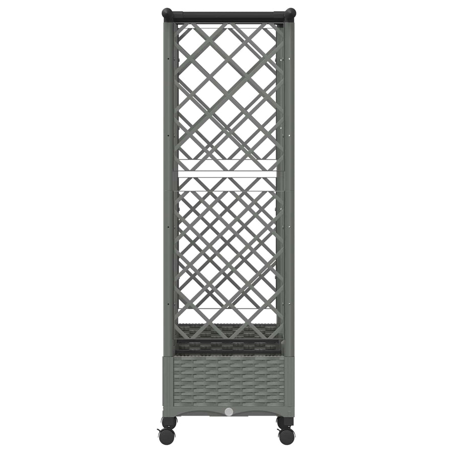 Verhoogd Bed met Trellis en Dak Lichtgrijs 164 x 40 x 127 cm PP