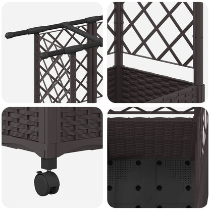 Verhoogd Bed met Trellis en Dak Bruin 163,5 x 40 x 142 cm PP