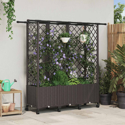 Verhoogd Bed met Trellis en Dak Bruin 163,5 x 40 x 142 cm PP