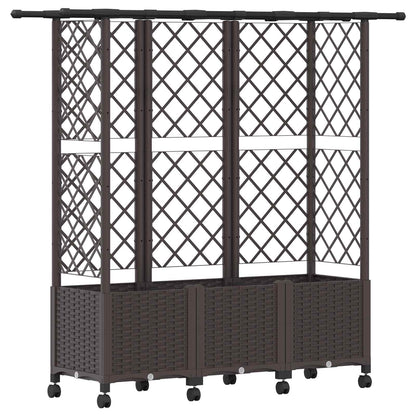 Verhoogd Bed met Trellis en Dak Bruin 163,5 x 40 x 142 cm PP