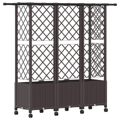 Verhoogd Bed met Trellis en Dak Bruin 163,5 x 40 x 142 cm PP