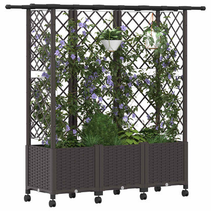 Verhoogd Bed met Trellis en Dak Bruin 163,5 x 40 x 142 cm PP