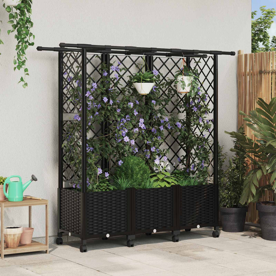 Verhoogd Bed met Trellis en Dak Zwart 163,5 x 40 x 142 cm PP