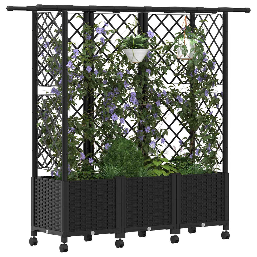 Verhoogd Bed met Trellis en Dak Zwart 163,5 x 40 x 142 cm PP