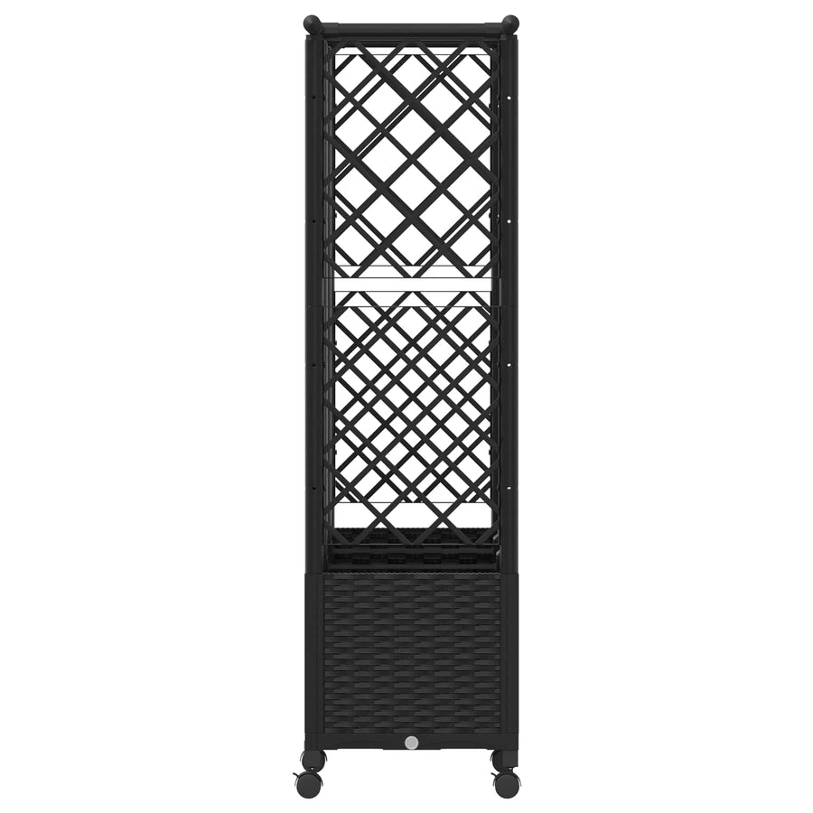 Verhoogd Bed met Trellis en Dak Zwart 163,5 x 40 x 142 cm PP