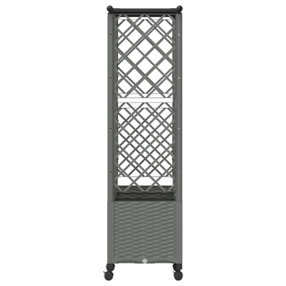 Verhoogd Bed met Trellis en Dak Lichtgrijs 163,5 x 40 x 142 cm