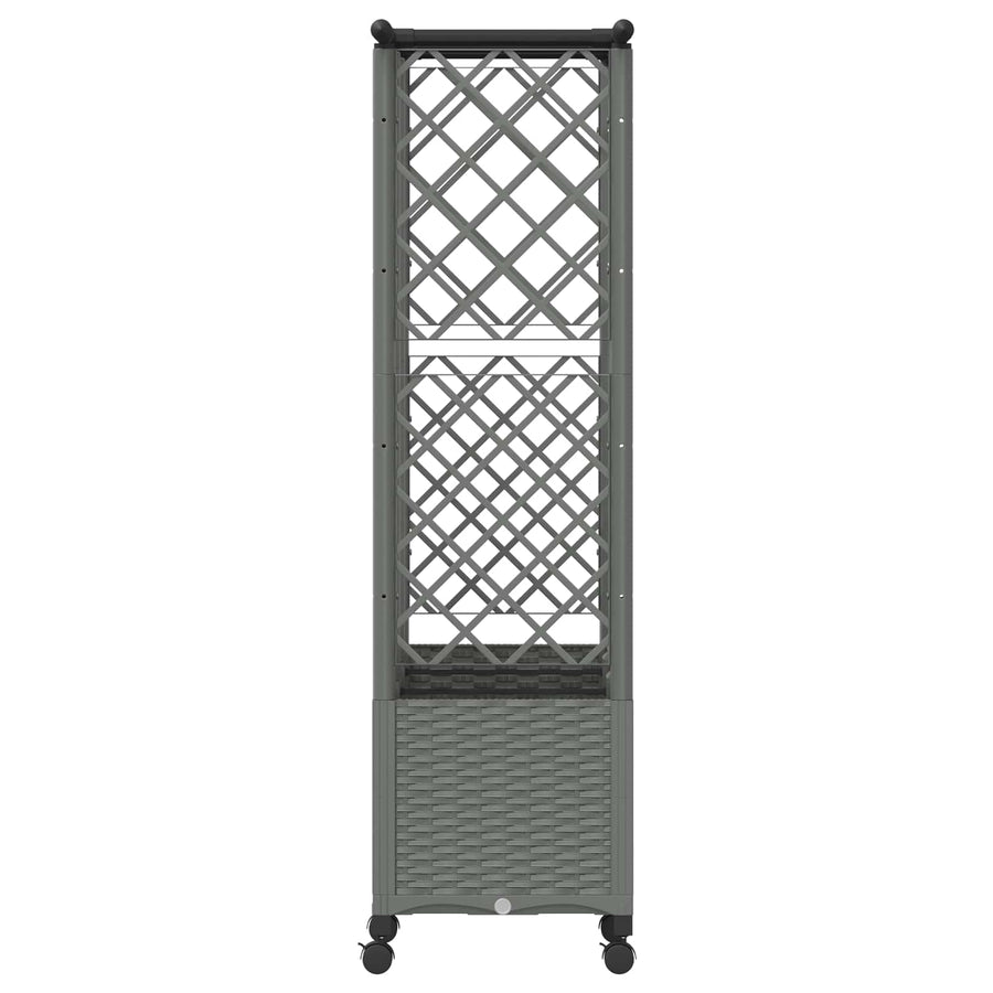 Verhoogd Bed met Trellis en Dak Lichtgrijs 163,5 x 40 x 142 cm