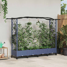 Verhoogd Bed met Trellis en Dak Grijs 207 x 40 x 129 cm PP