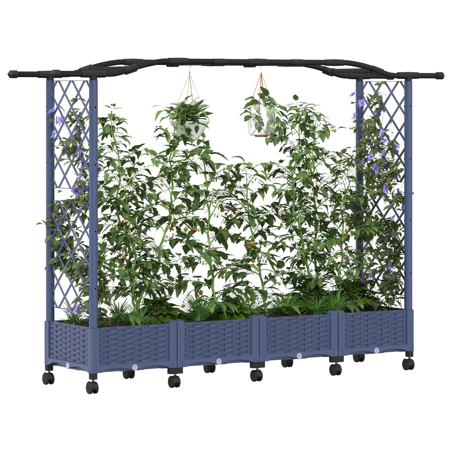 Verhoogd Bed met Trellis en Dak Grijs 207 x 40 x 129 cm PP