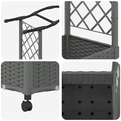 Verhoogd Bed met Trellis en Dak Lichtgrijs 207 x 40 x 129 cm PP