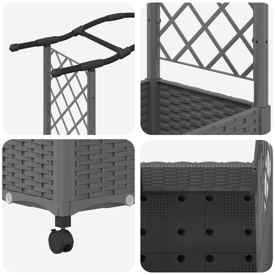Verhoogd Bed met Trellis en Dak Lichtgrijs 207 x 40 x 129 cm PP
