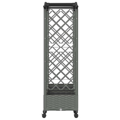 Verhoogd Bed met Trellis en Dak Lichtgrijs 207 x 40 x 129 cm PP