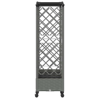 Verhoogd Bed met Trellis en Dak Lichtgrijs 203,5 x 40 x 129 cm