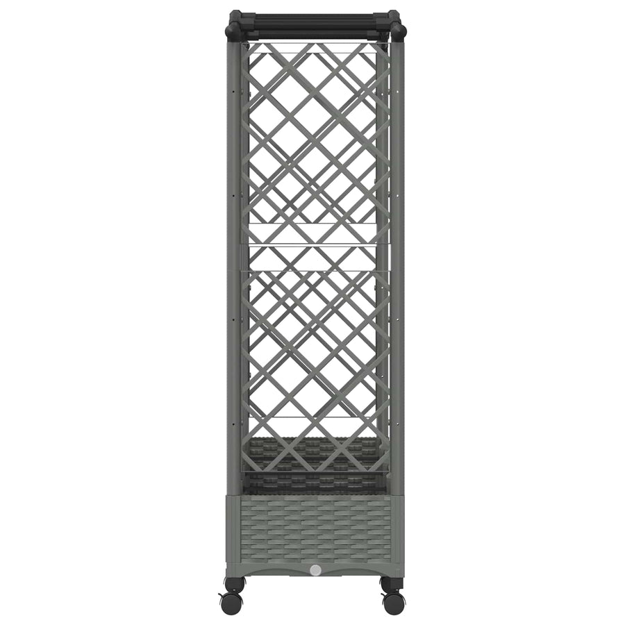 Verhoogd Bed met Trellis en Dak Lichtgrijs 203,5 x 40 x 129 cm