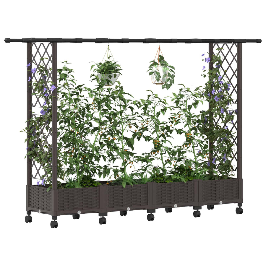 Verhoogd Bed met Trellis en Dak Bruin 203 x 40 x 127 cm PP