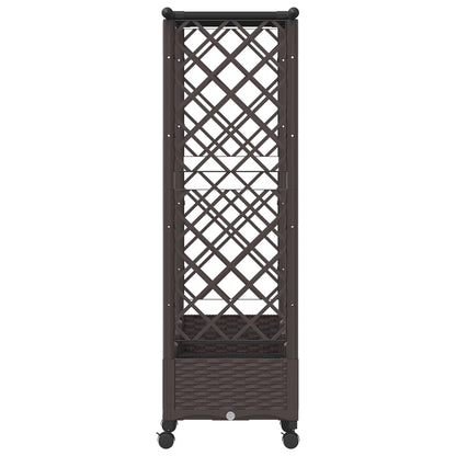 Verhoogd Bed met Trellis en Dak Bruin 203 x 40 x 127 cm PP