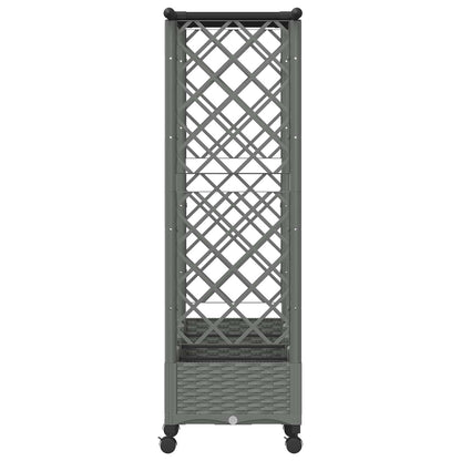 Verhoogd Bed met Trellis en Dak Lichtgrijs 203 x 40 x 127 cm PP