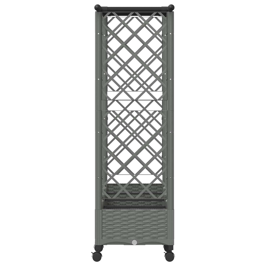 Verhoogd Bed met Trellis en Dak Lichtgrijs 203 x 40 x 127 cm PP