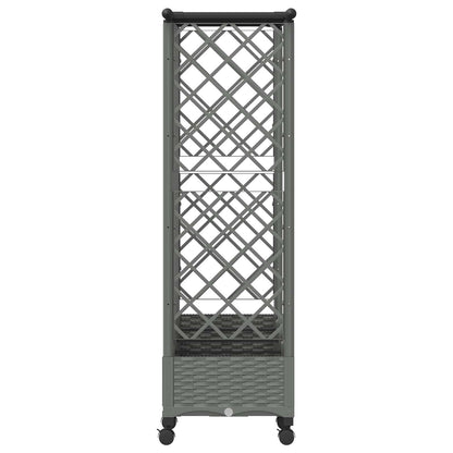 Verhoogd Bed met Trellis en Dak Lichtgrijs 202,5 x 40 x 127 cm