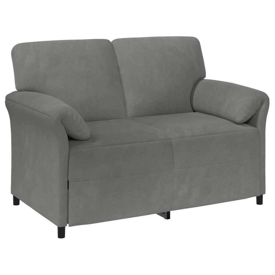 2-Zits Sofa Donkergrijs 138 x 83 x 95 cm Fluweel