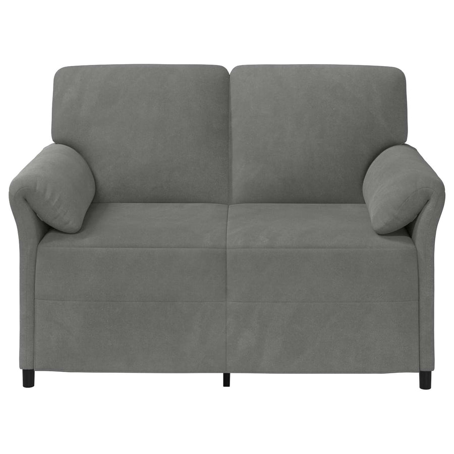 2-Zits Sofa Donkergrijs 138 x 83 x 95 cm Fluweel