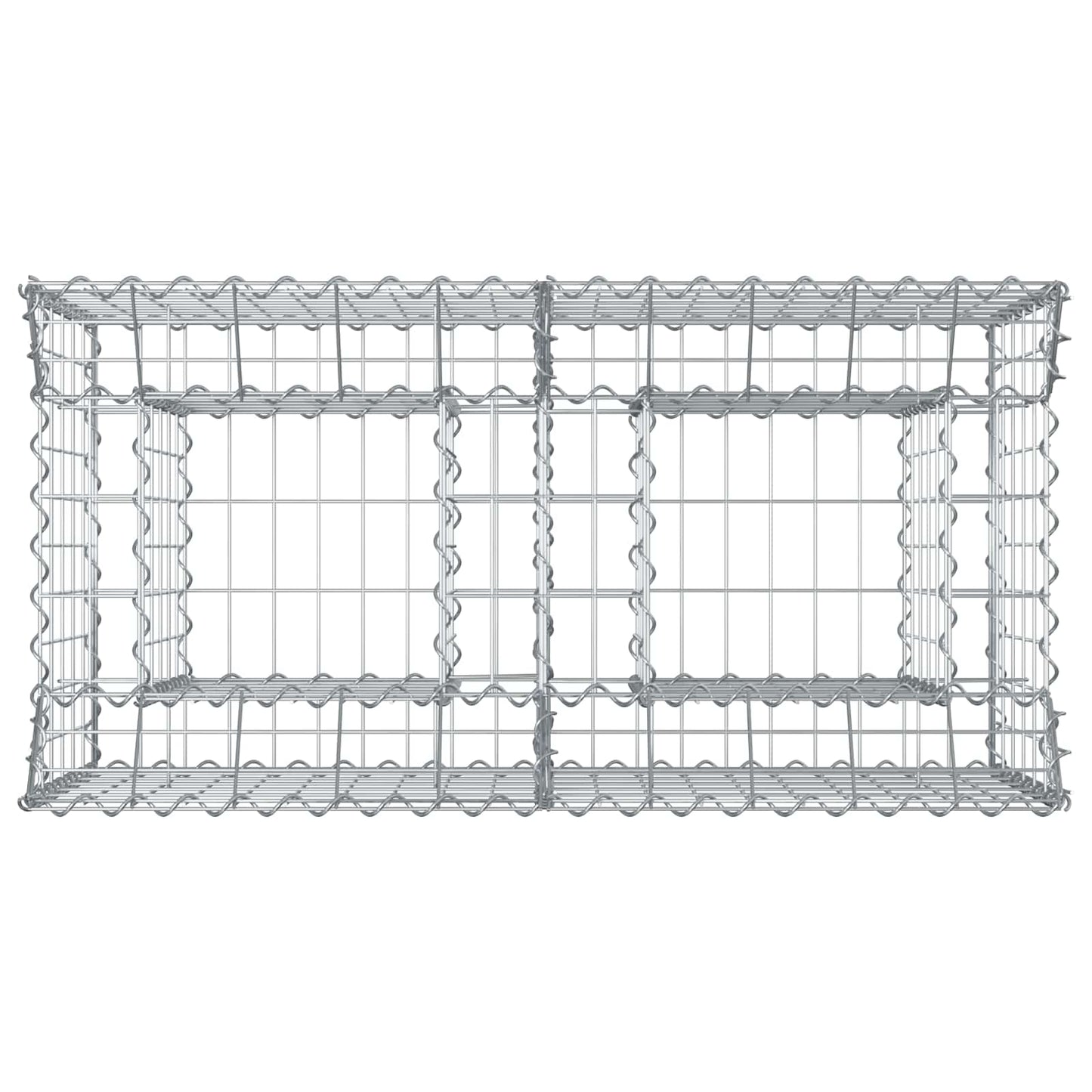 Gabion Verhoogd Bed Zilver 100 x 50 x 60 cm