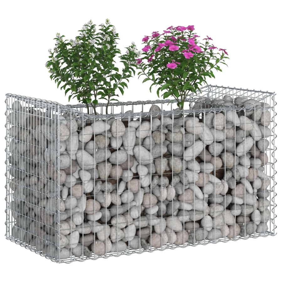 Gabion Verhoogd Bed Zilver 50 x 100 x 60 cm
