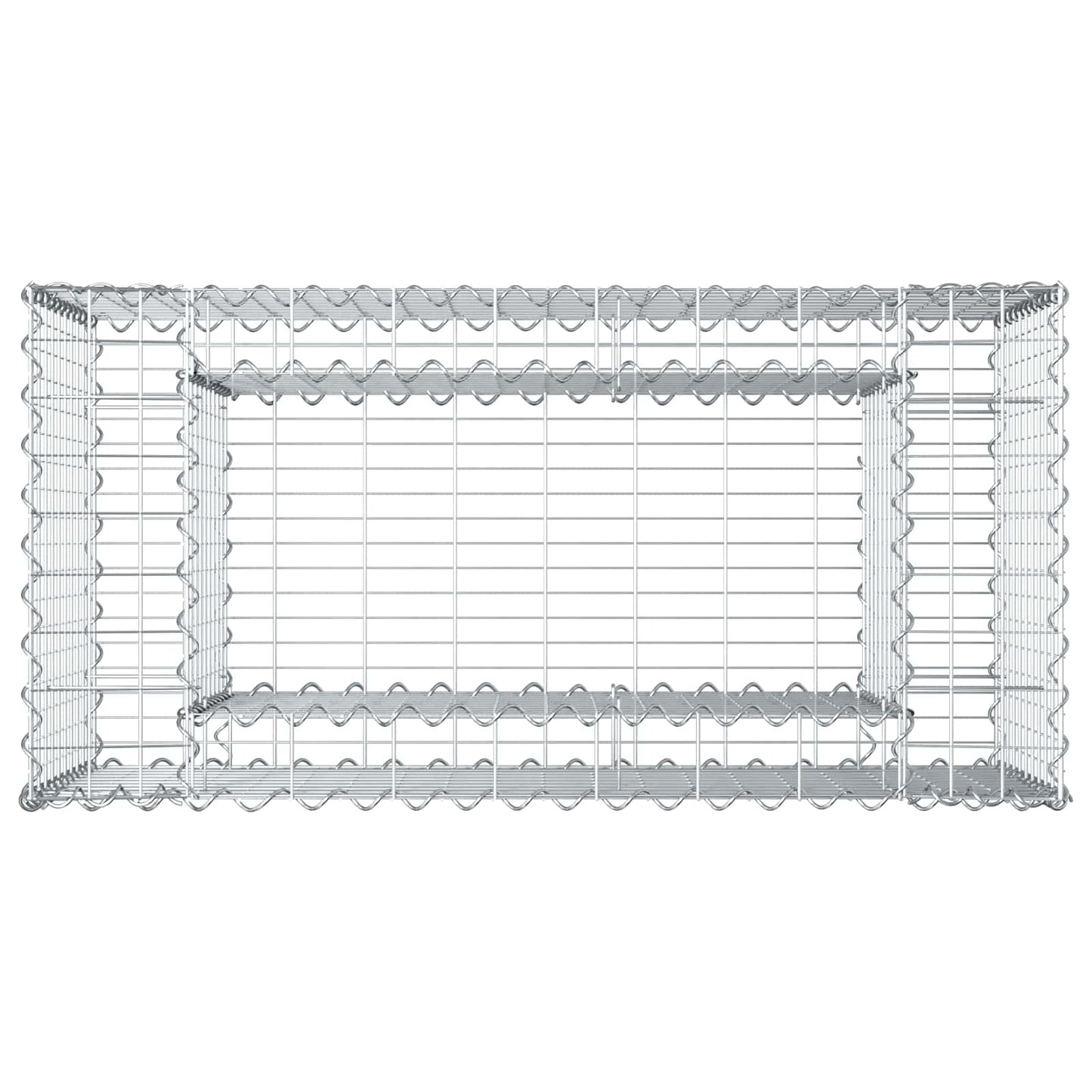 Gabion Verhoogd Bed Zilver 50 x 100 x 60 cm