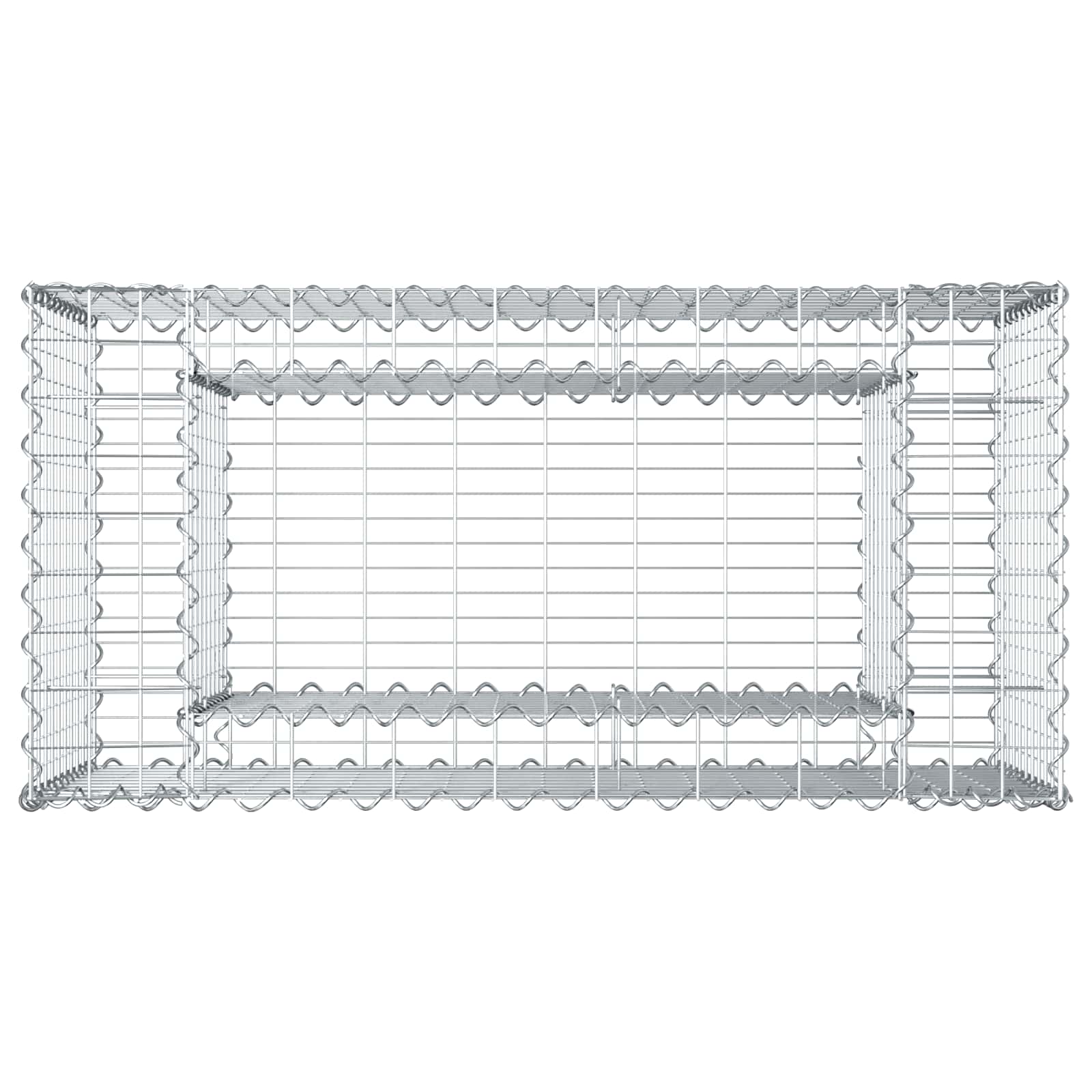 Gabion Verhoogd Bed Zilver 50 x 100 x 60 cm