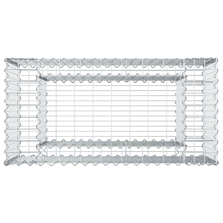 Gabion Verhoogd Bed Zilver 50 x 100 x 60 cm
