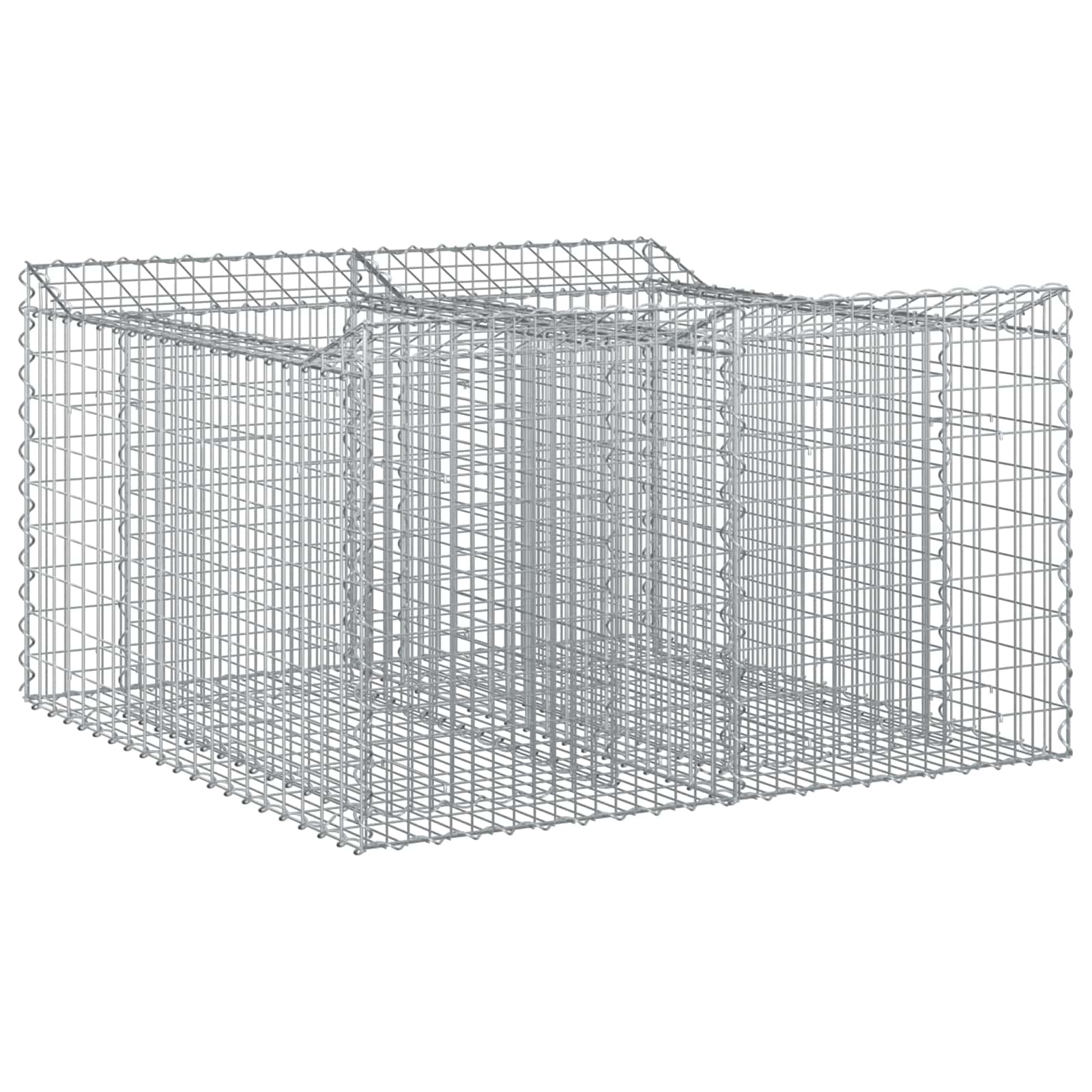 Gabion Verhoogd Bed Zilver 100 x 100 x 60 cm