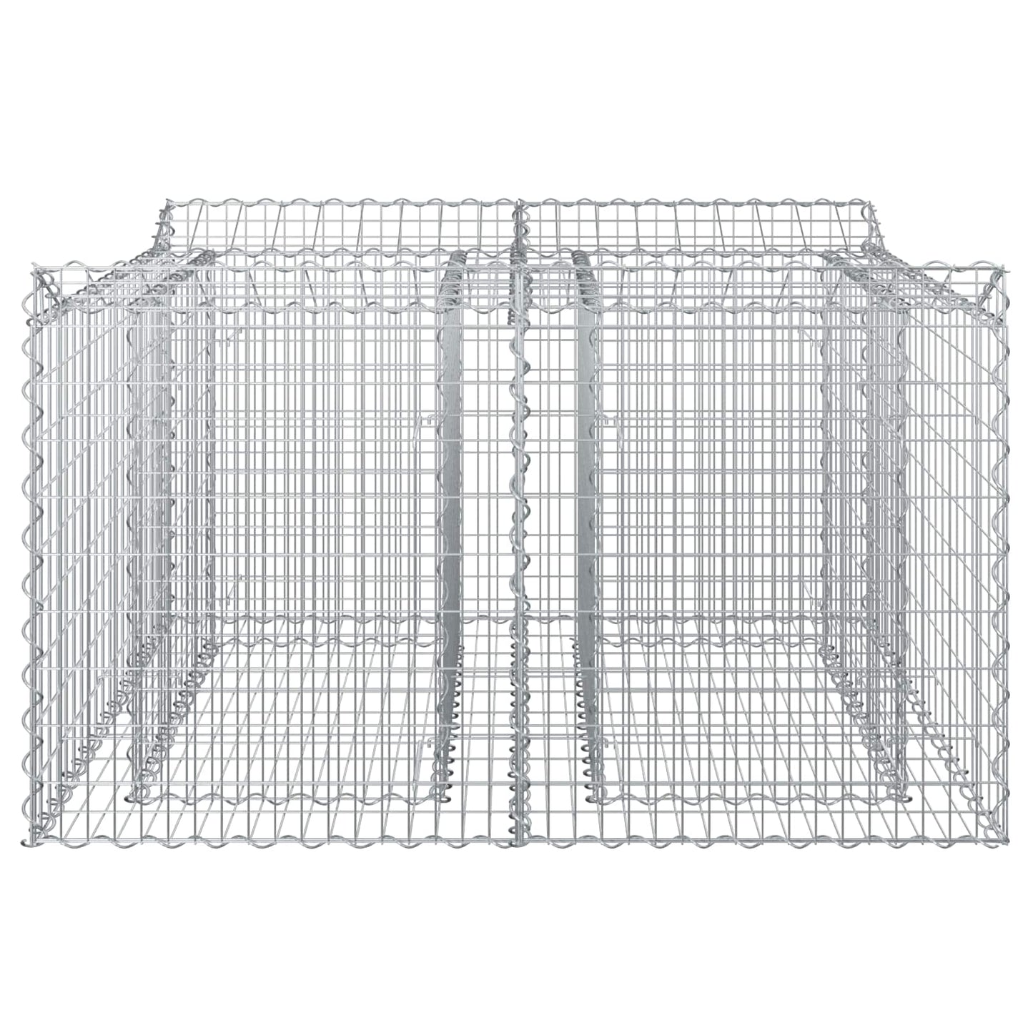 Gabion Verhoogd Bed Zilver 100 x 100 x 60 cm