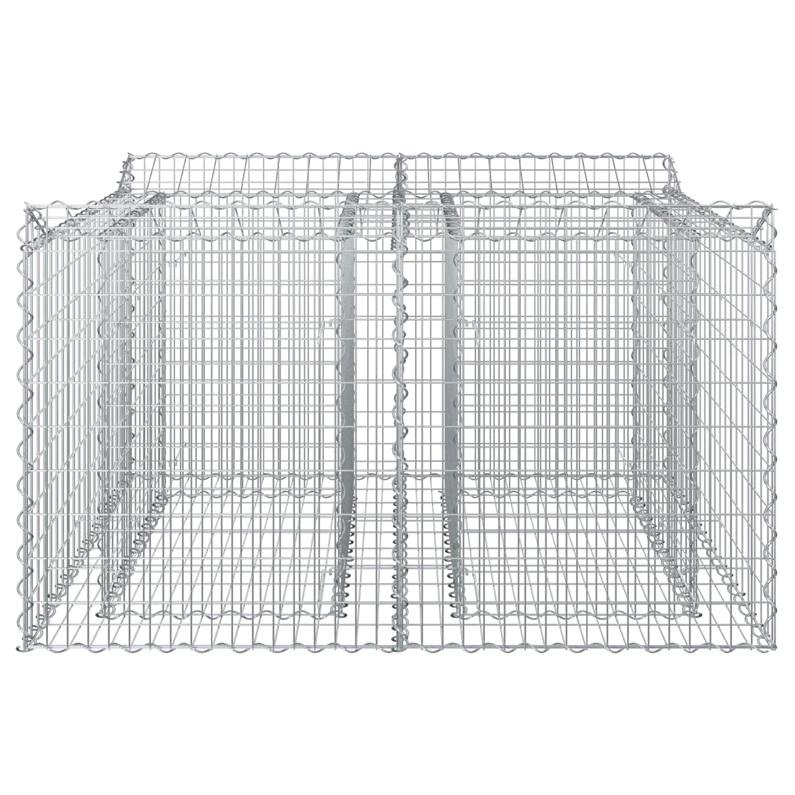 Gabion Verhoogd Bed Zilver 100 x 100 x 60 cm