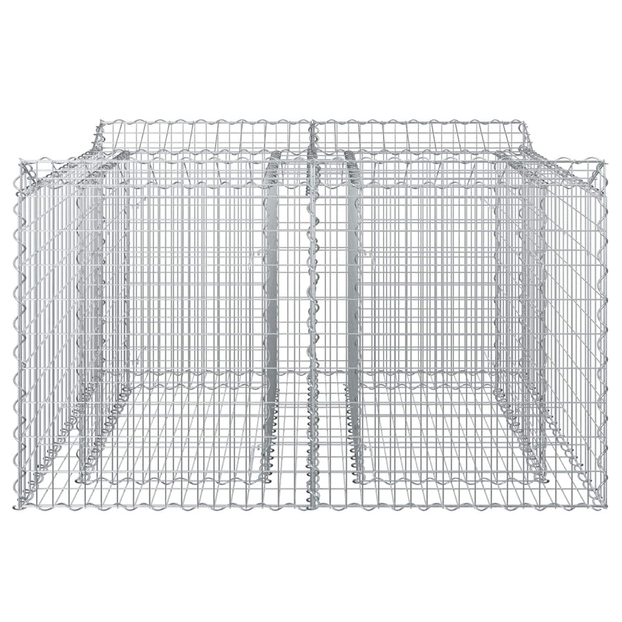 Gabion Verhoogd Bed Zilver 100 x 100 x 60 cm