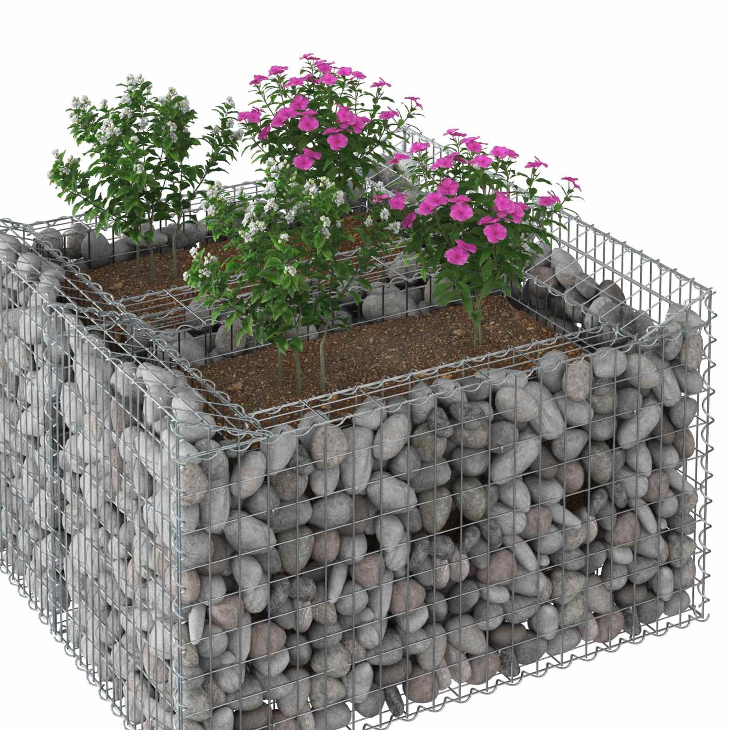 Gabion Verhoogd Bed Zilver 100 x 100 x 60 cm