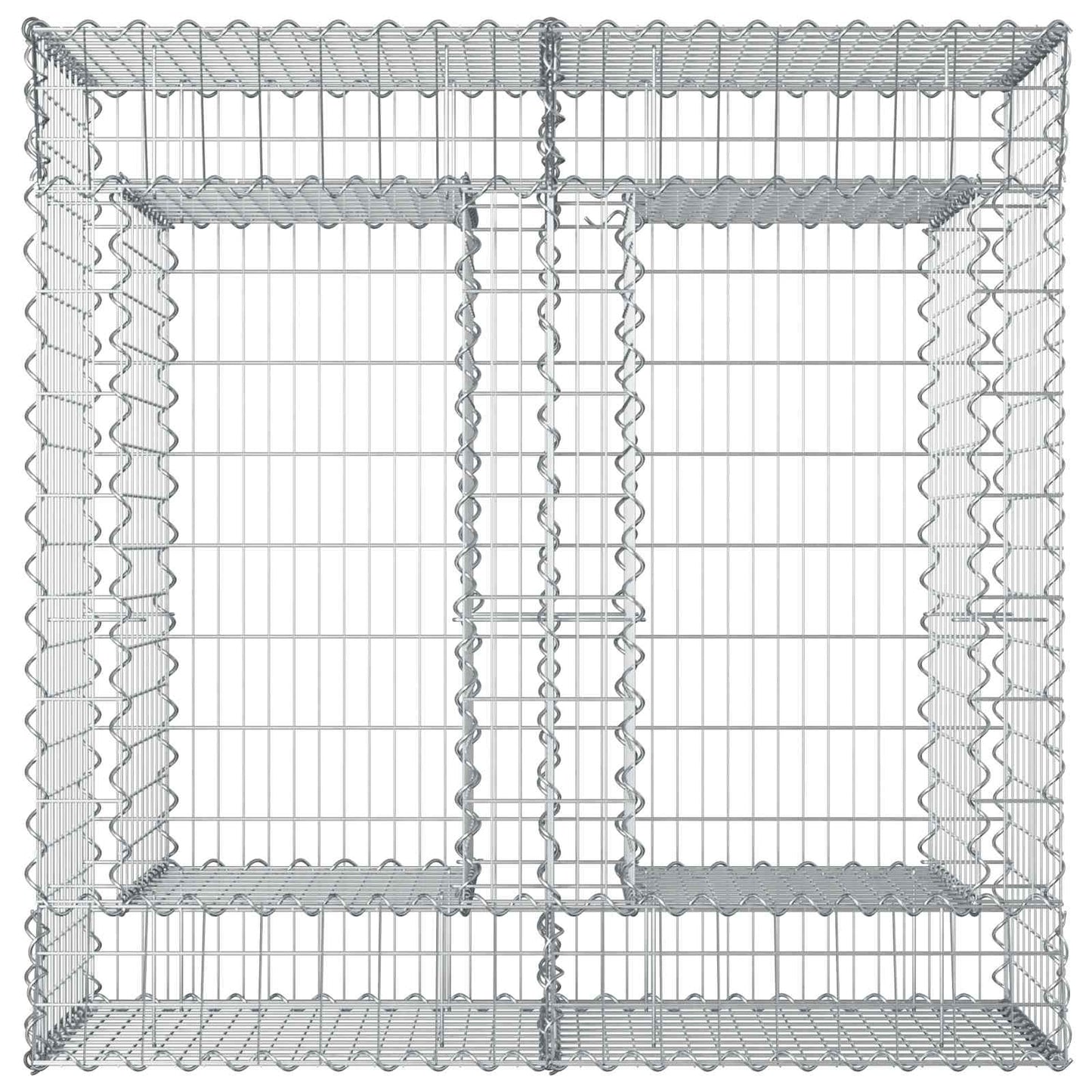 Gabion Verhoogd Bed Zilver 100 x 100 x 60 cm