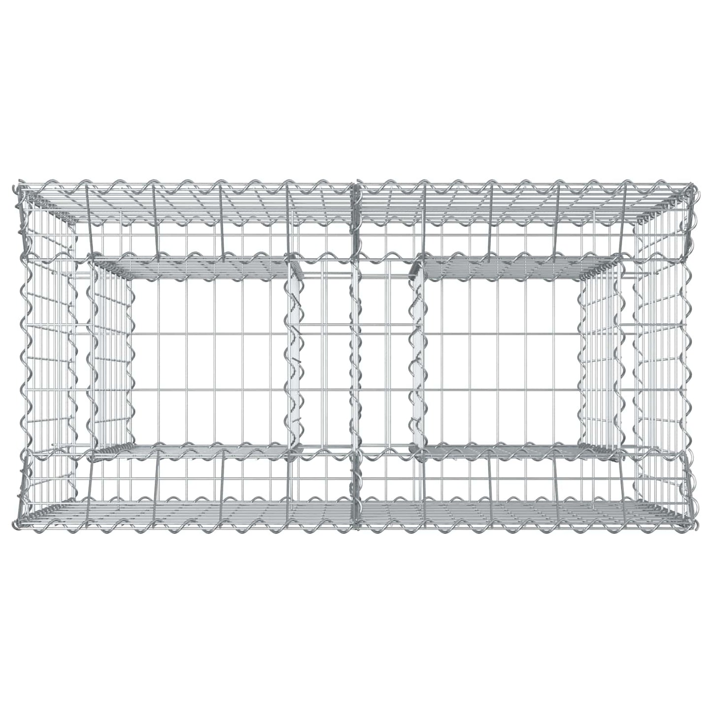 Gabion Verhoogd Bed Zilver 100 x 50 x 80 cm