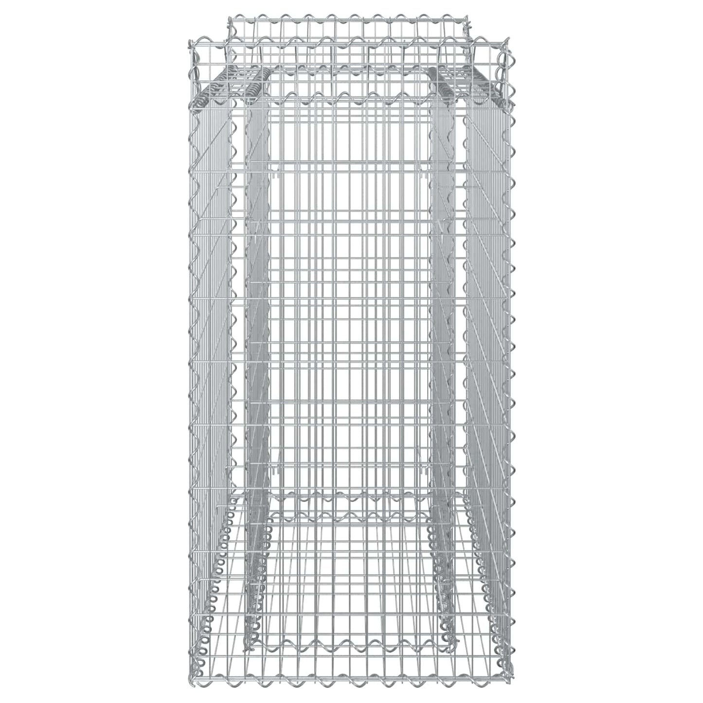 Gabion Verhoogd Bed Zilver 50 x 100 x 100 cm