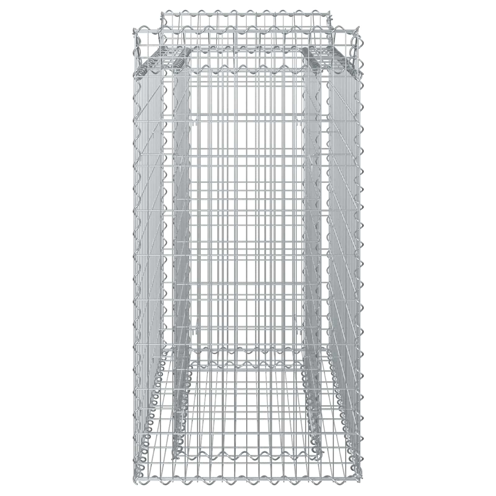 Gabion Verhoogd Bed Zilver 50 x 100 x 100 cm